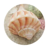 Beach Seashell Photo Coastal Cutting Board