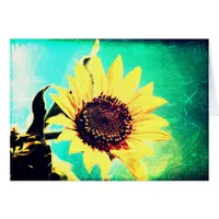 Sunny Day