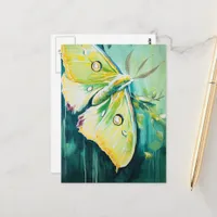 A Beautiful Green Moth Postcard