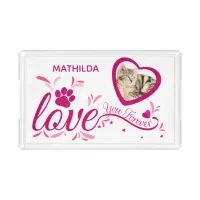 Acrylic Tray Pet Memorial Souvenir Pink Heart Paw