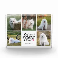 Cutest Paws Ever Modern Cute Pet Dog Photo Collage