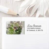 Green Pine Tree Branch Return Address Label