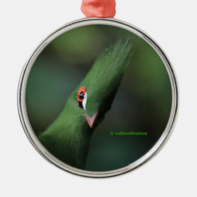 Funny Curious Guinea Turaco Green Bird Metal Ornament