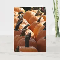 Pumpkins, Thanksgiving Holiday Card