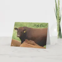 Holy Cow It's Your Birthday  Card