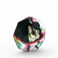 Sugar Glider Wearing a Hat Award