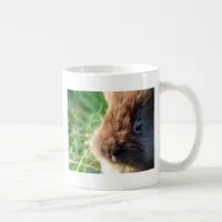 Lionhead Bunny Coffee Mug