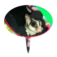 Sugar Glider Wearing a Hat Cake Topper