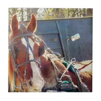 Chilly Morning Amish Horse Ceramic Tile