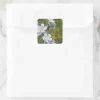 Blue Columbine Flowers Wedding Thank You Favor Tag