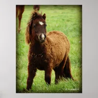 Surprized Mini Poster