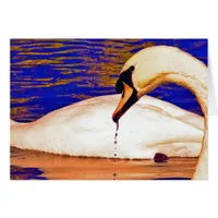 Swans Feeding
