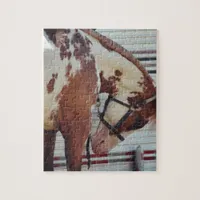 Pinto Jigsaw Puzzle