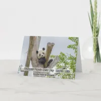 National Panda Day March 16th Animal Holidays Card