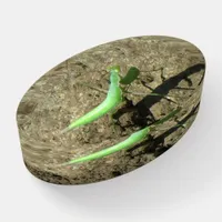 Paper Weight - Praying Mantis