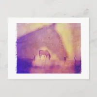 Horse Dreams Postcard