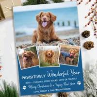 Pawsitively Pet Year in Review Blue Dog Photo Holiday Card