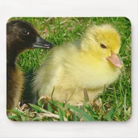 Ducklings Mouse Pad