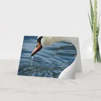 Swan Card