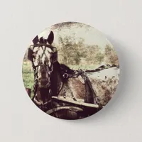 Appaloosa Horse Button