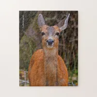 Funny Young Blacktail Deer Smiles at Photographer Jigsaw Puzzle