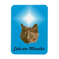 Photo Magnet - Cats are Miracles