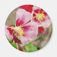 Pretty Flower 2 Magnet