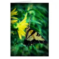 Blessed Be Swallowtail Butterfly