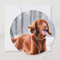 Beautiful Irish Red Setter Dog Breed Christmas Holiday Card