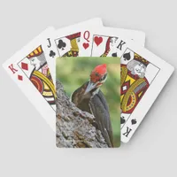 Stunning Portrait of Pileated Woodpecker on Tree Poker Cards