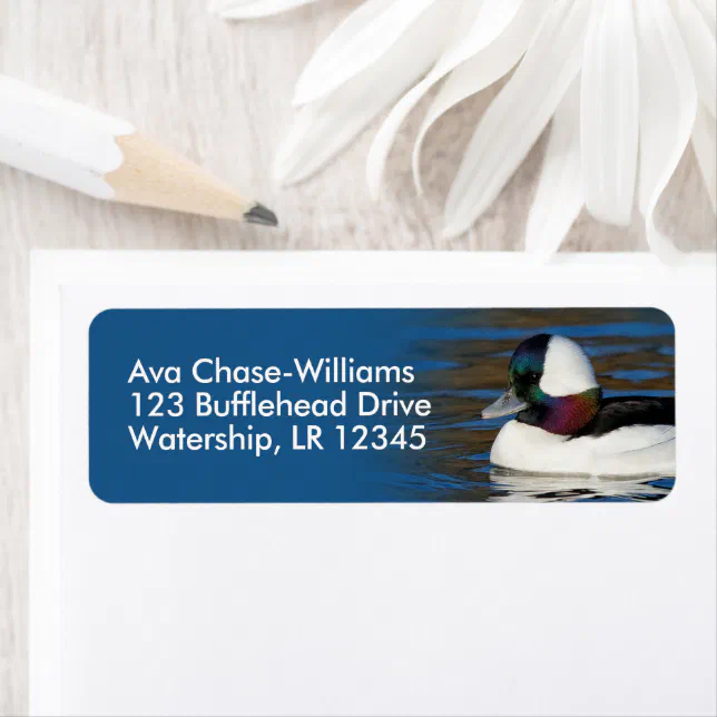 Stunning Bufflehead Duck at the Winter Pond Label