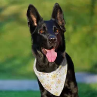 Retro Atomic Mid-Century Modern  Pet Bandana Collar