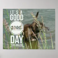 Swimming Dog, Great Day Poster