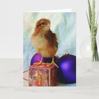 Chick on Vintage Christmas Ornament Holiday Card