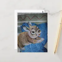 A Baby Bunny Collage Postcard