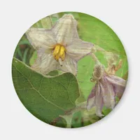 Eggplant Flowers Magnet
