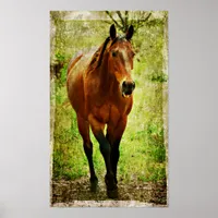 Silly Horse Poster