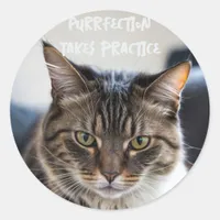 Purrfection Takes Practice Classic Round Sticker