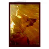 Shine On Me German Shepherd Sympathy Poem Card