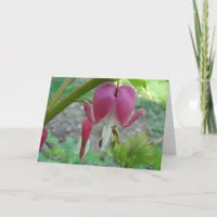 Bleeding Hearts Card