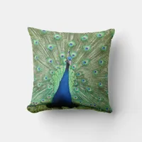 Pillow - Peacock on Display