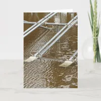 Flooded Playground Card