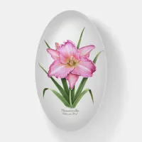 Pink Daylily Paperweight