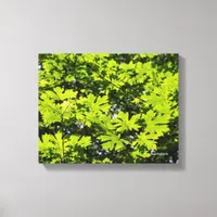 Sun-Dappled Leaves in the Forest Canvas Print