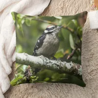 Cute Downy Woodpecker Bird in Pear Tree Throw Pillow