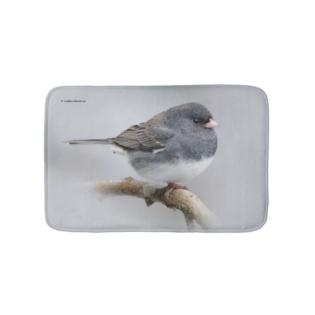 Slate-Colored Dark-Eyed Junco on the Pear Tree Bath Mat