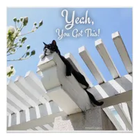 Yeah You Got This Encouragement Cat Photo  Poster