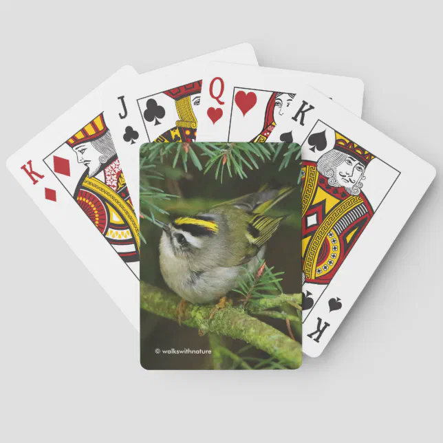 Cute Kinglet Songbird Causes a Stir in the Fir Poker Cards