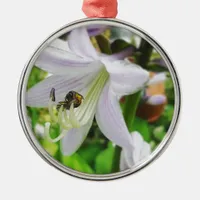 Hosta and an insect metal ornament