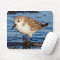 Cute Sanderling Sandpiper Shorebird Wanders Beach Mouse Pad